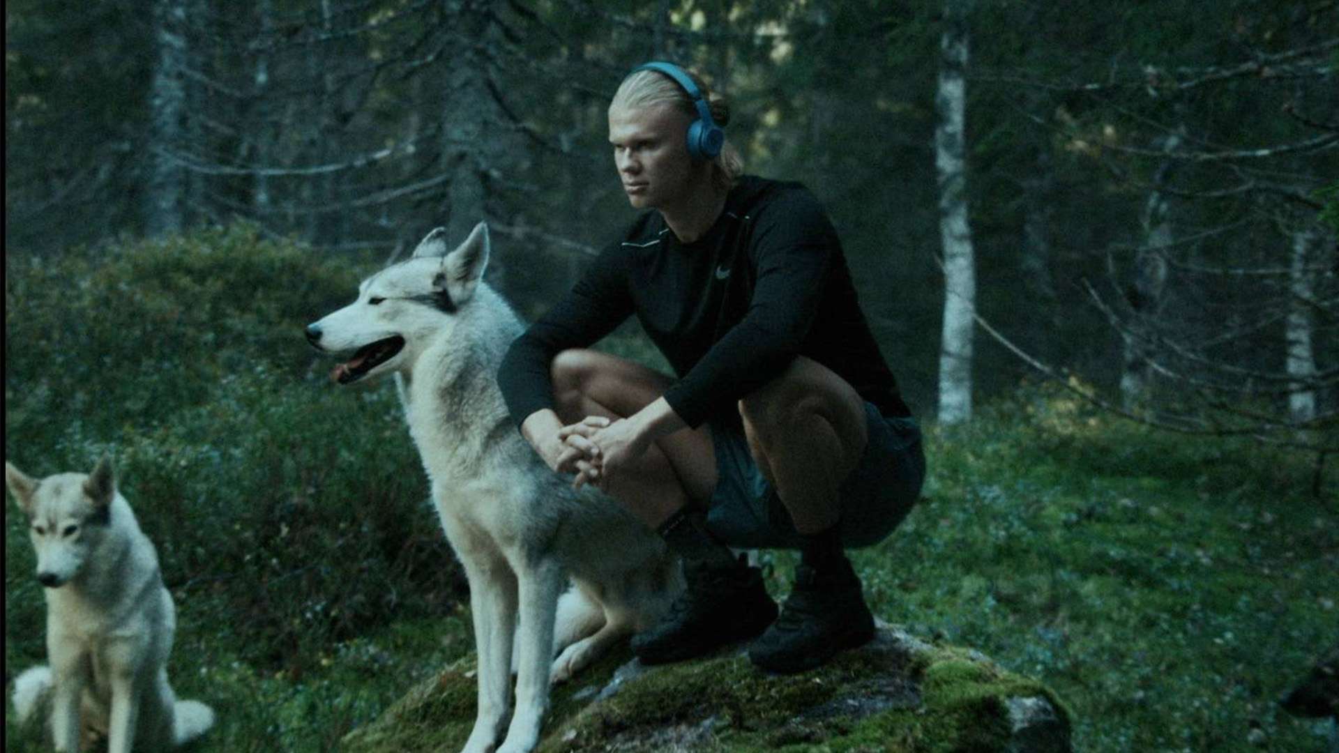 都是為了最 都是為了最