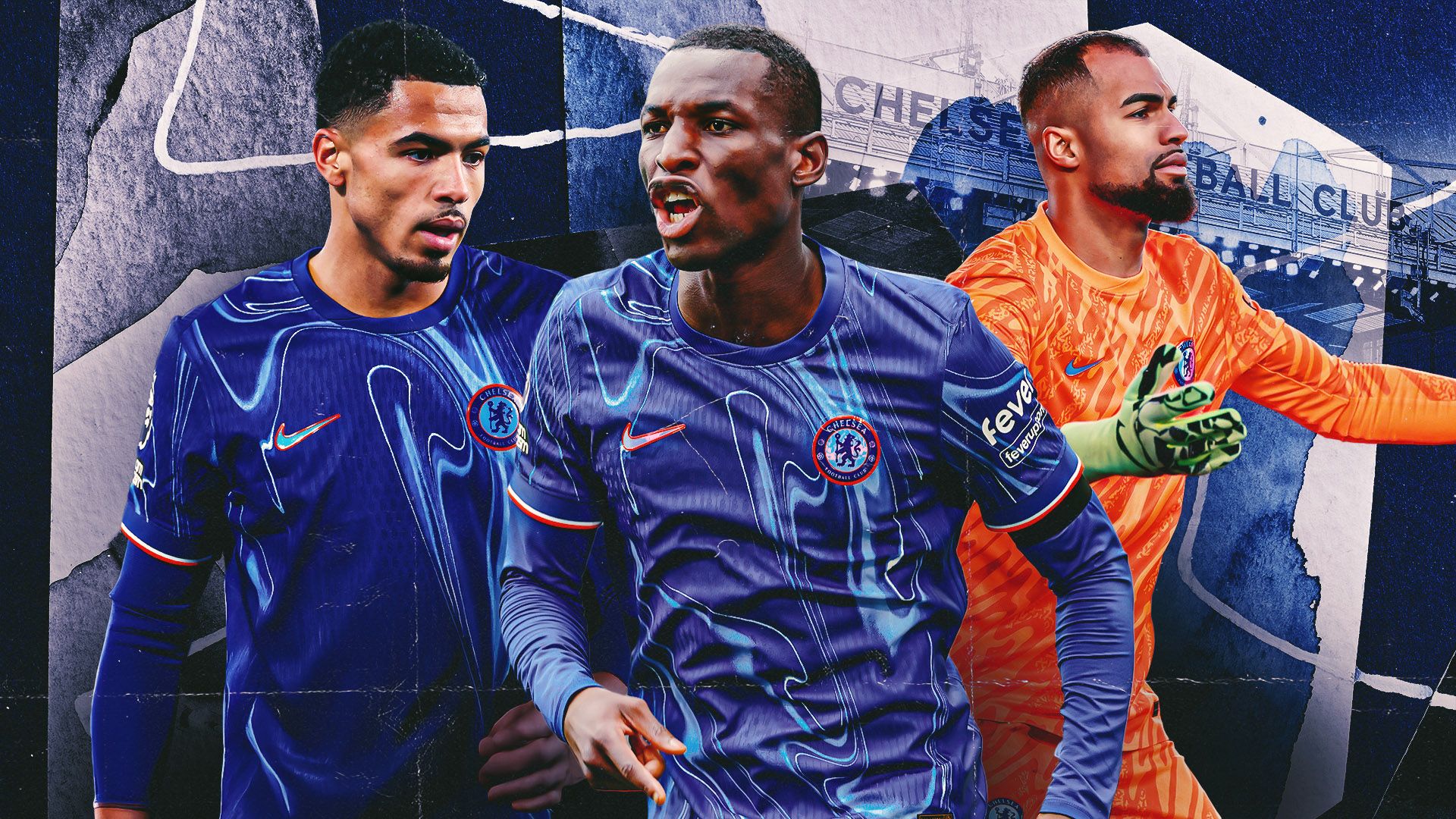 面进行了全 面进行了全